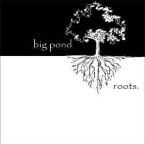 Big Pond - Roots - cover